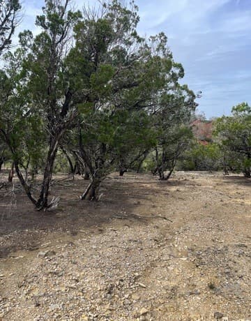 rental at 266 Pecos Rd in Bandera, TX — photo 2