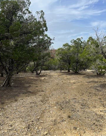 rental at 266 Pecos Rd in Bandera, TX — photo 3