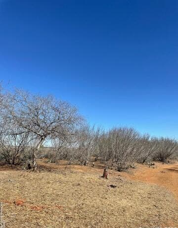 rental at 1010 Cr 308A in Jourdanton, TX — photo 2
