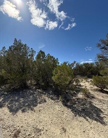 rental at 264 Cedar Hill Dr in Bandera, TX — photo 3