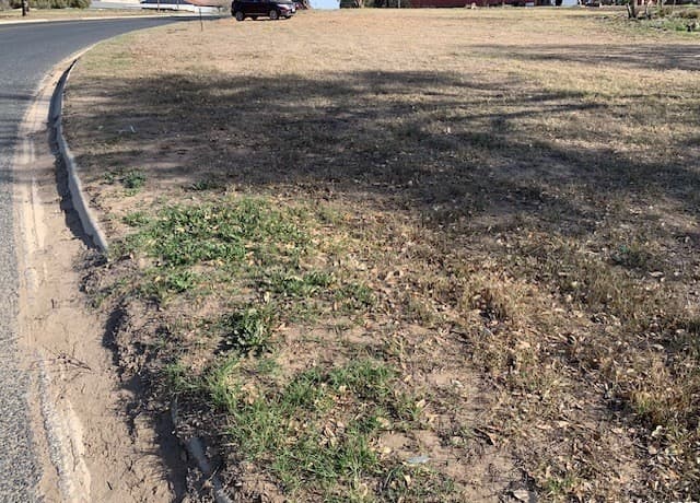 rental at 407 Wilson Dr in Devine, TX — photo 1