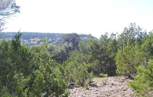 rental at 9715-10 Park Dr in Helotes, TX — photo 3