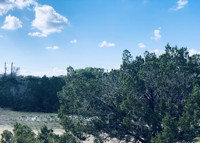 rental at 1020 Cliff Circle in Spring Branch, TX — photo 4