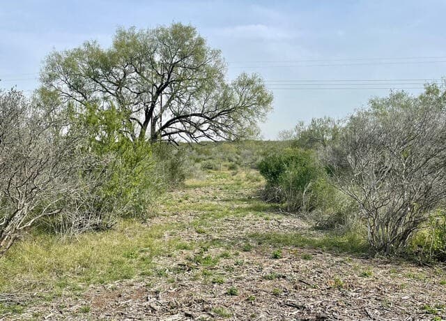 rental at 191 County Road 1670 in Moore, TX — photo 1