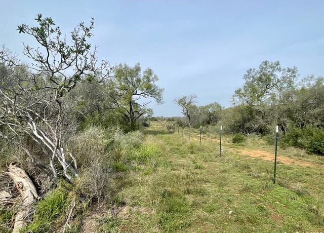 rental at 191 County Road 1670 in Moore, TX — photo 5
