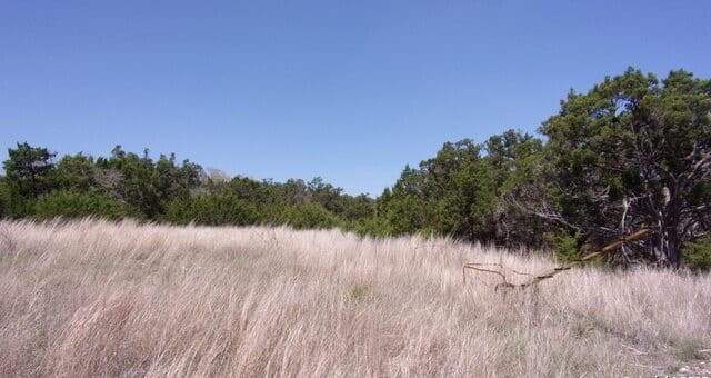 rental at 407 E Headwaters Ranch in Kendalia, TX — photo 1
