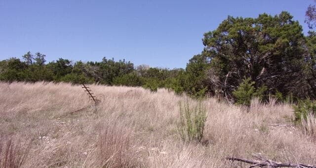 rental at 407 E Headwaters Ranch in Kendalia, TX — photo 3