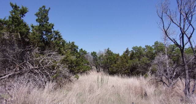 rental at 407 E Headwaters Ranch in Kendalia, TX — photo 5