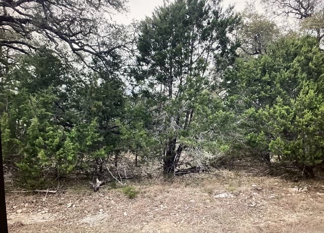 rental at LOT 1403 Asa Harold in Blanco, TX — photo 1