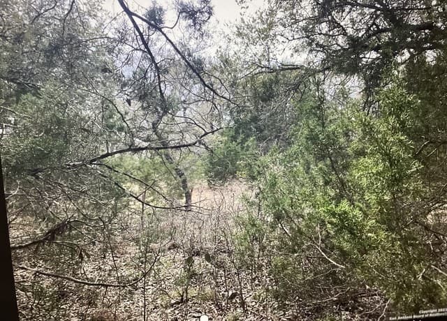 rental at LOT 1403 Asa Harold in Blanco, TX — photo 2