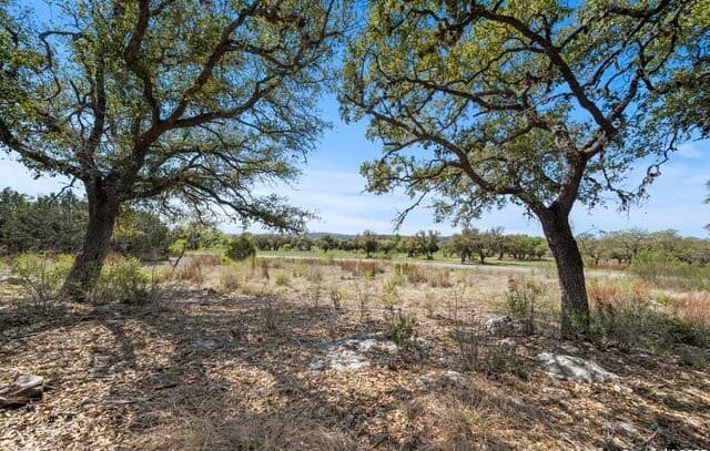 rental at 336 River Cliff in Spring Branch, TX — photo 2