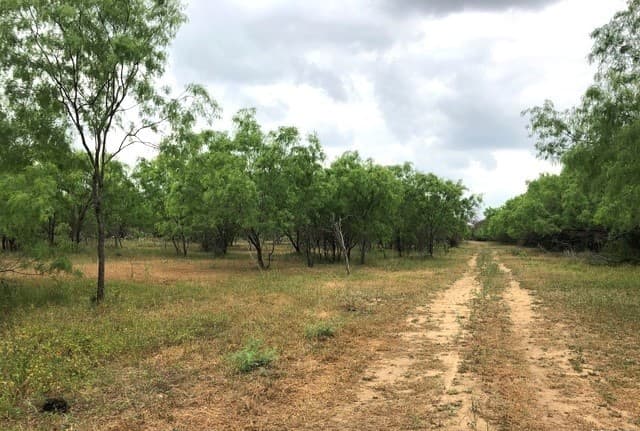 rental at TRACT A S Loop 1604 E in San Antonio, TX — photo 1