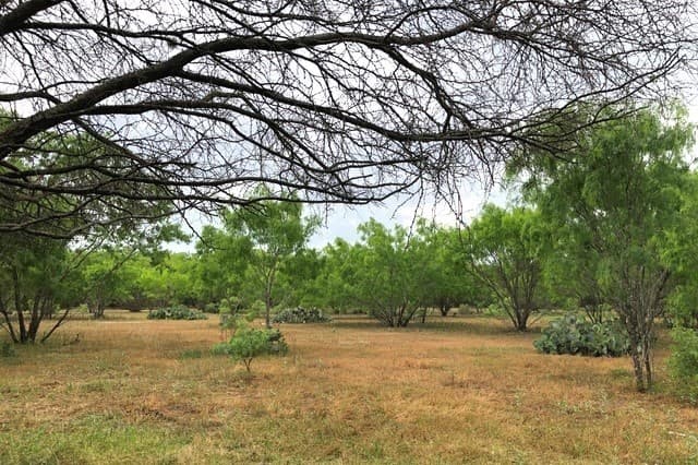 rental at TRACT A S Loop 1604 E in San Antonio, TX — photo 2