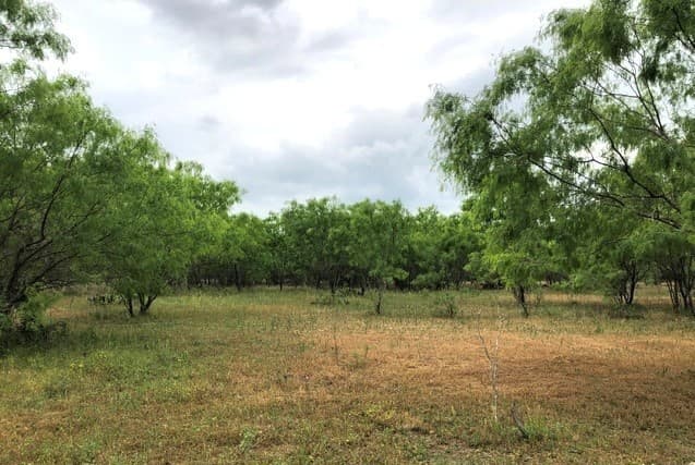 rental at TRACT A S Loop 1604 E in San Antonio, TX — photo 3