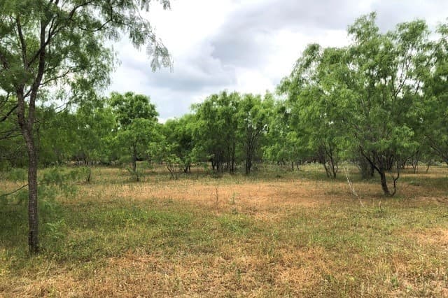 rental at TRACT A S Loop 1604 E in San Antonio, TX — photo 4