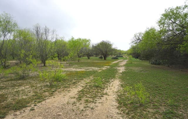 rental at TRACT A S Loop 1604 E in San Antonio, TX — photo 5