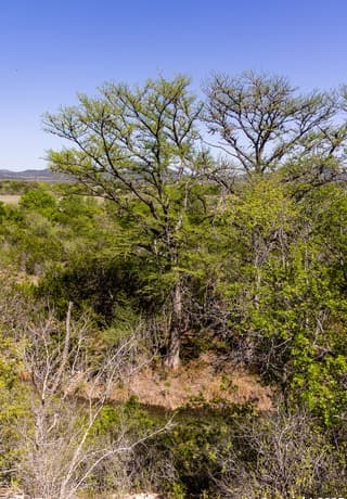 2-bedroom rental at 816 Cornelius Road in Utopia, TX — photo 4