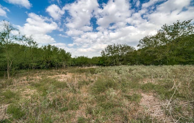 rental at 4660 W Military in San Antonio, TX — photo 3