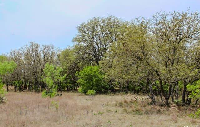 rental at 0000 County Road 341 in Hondo, TX — photo 3