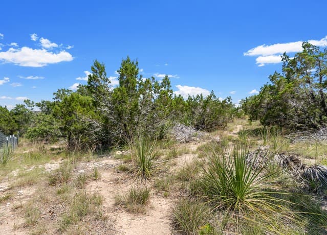 rental at 241 Restless Wind in Spring Branch, TX — photo 4