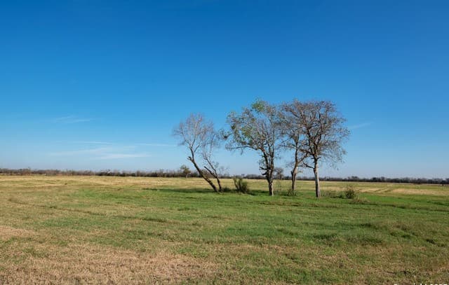 rental at 2464 Bolton in Marion, TX — photo 3