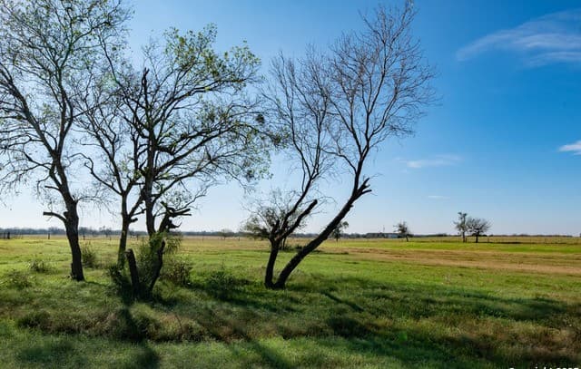 rental at 2464 Bolton in Marion, TX — photo 4