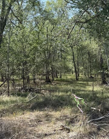 rental at 421 Kerr Ave in Sutherland Springs, TX — photo 5