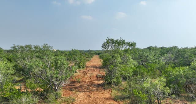 rental at 000 County Road 429 in Pleasanton, TX — photo 4