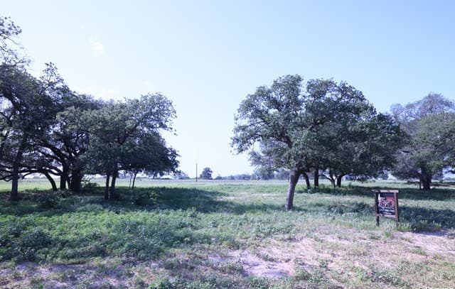 rental at 309 Firewheel Loop in Floresville, TX — photo 1