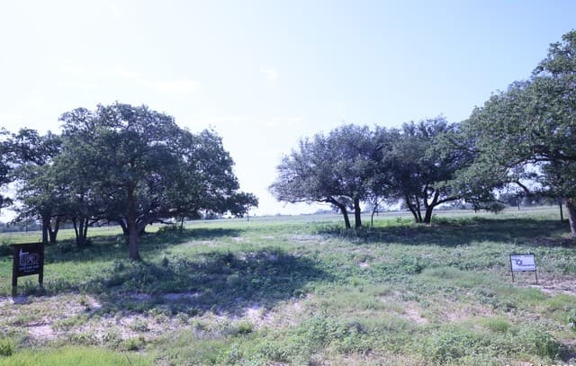 rental at 309 Firewheel Loop in Floresville, TX — photo 4