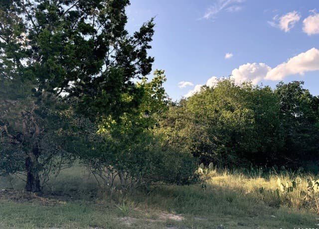 rental at LOT 10 Rocky Point Drive in Spring Branch, TX — photo 1