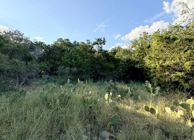 rental at LOT 10 Rocky Point Drive in Spring Branch, TX — photo 4