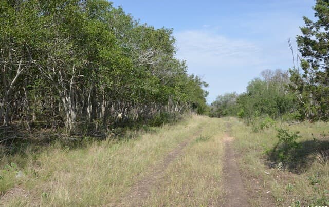 rental at 025 Wesp Way in San Antonio, TX — photo 4