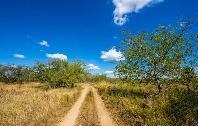 rental at TBD Cr 777 in Devine, TX — photo 4