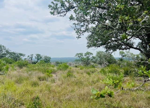rental at 195 Crescent Ridge in Hondo, TX — photo 5