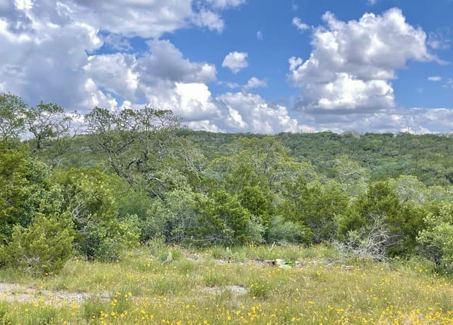 rental at LOT 438 County Rd 2763 in Mico, TX — photo 1
