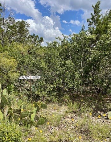 rental at LOT 438 County Rd 2763 in Mico, TX — photo 5