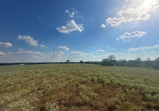 rental at LOT 2 0 Cr 197 in Falls City, TX — photo 5