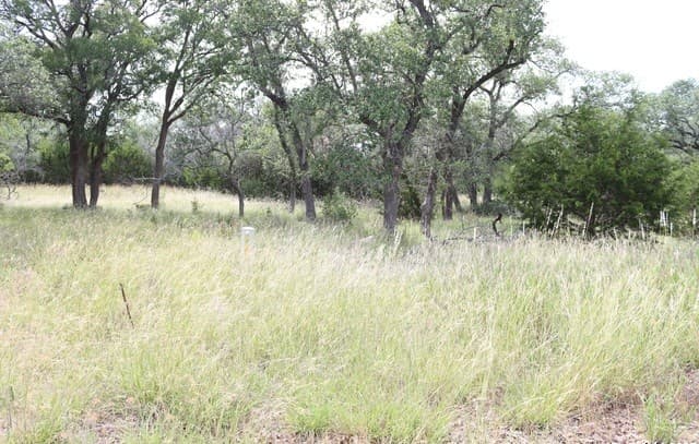 rental at 105 Sabella in Spring Branch, TX — photo 1