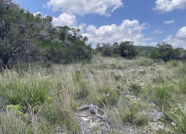 rental at 218 Pr 1748 in Mico, TX — photo 2