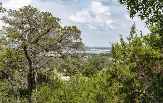 rental at 161 Puzzle Pass in Spring Branch, TX — photo 3