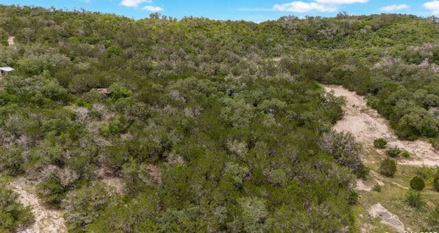 rental at 688 County Road 242 in Hondo, TX — photo 2