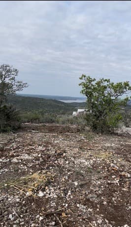 rental at 19 County Road 270 in Mico, TX — photo 4