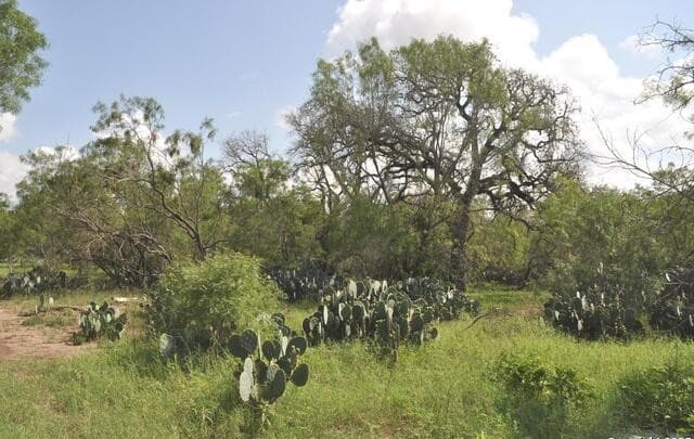 rental at TBD Cr 662 in Devine, TX — photo 1