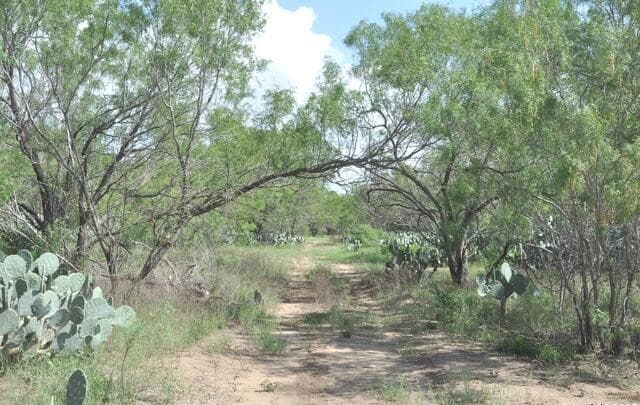 rental at TBD Cr 662 in Devine, TX — photo 2