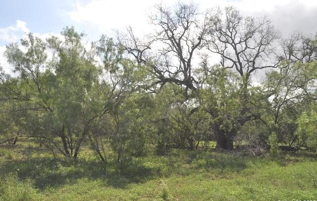 rental at TBD Cr 662 in Devine, TX — photo 5