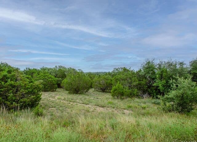 rental at 206 Vista View Place in Spring Branch, TX — photo 4