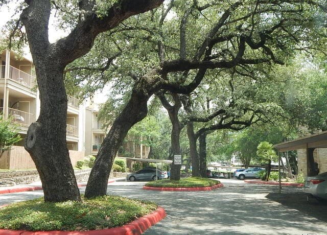2-bedroom rental at 4119 Medical Unit 304F in San Antonio, TX — photo 1