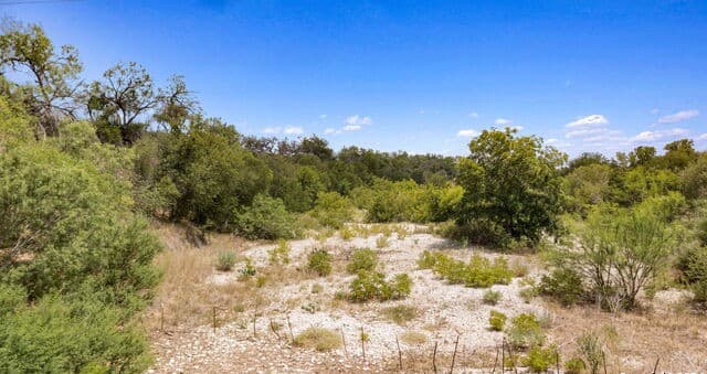 rental at 613 County Road 441 in Hondo, TX — photo 5