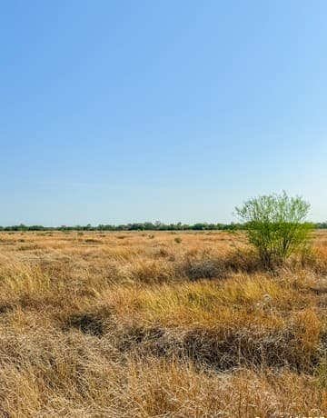 rental at 000 Cr 332 A in Jourdanton, TX — photo 3